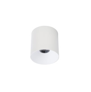Oświetlenie Komercyjne Punktowa Lampa Led Natynkowa Cl Ios Led 20W 4000K Angle 60 8743 Nowodvorski