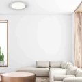 016c13ab5d1733d31036fe20871c6300