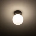 04bd2a94d3c8427b105e54f429206e9f
