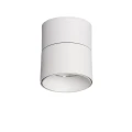 Lampa-punktowa-Biała-15W-Spot-LED-2700-3200K-Abruzzo-Romeo.jpg