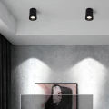 Lampa punktowa Czarna 30W Spot LED 4000-4500K Abruzzo Romeo-pokój.jpg