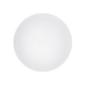 Plafon Nowodvorski AGNES ROUND LED PRO
