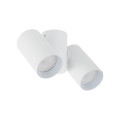 AMIS WHITE DOWNLIGHT 2XGU10