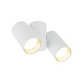 AMIS WHITE DOWNLIGHT 2XGU10