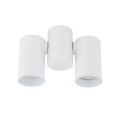 AMIS WHITE DOWNLIGHT 2XGU10