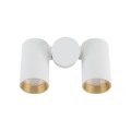 AMIS WHITE DOWNLIGHT 2XGU10