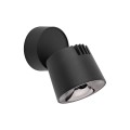 KYOTO BLACK 12W