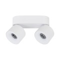 SPARK DUO WHITE CCT 20W