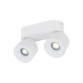 SPARK DUO WHITE CCT 20W