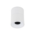 SPARK WHITE CCT 10W