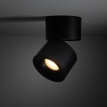SPARK BLACK CCT 10W
