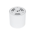 BLAZE WHITE CCT 30W