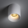 BLAZE WHITE CCT 12W