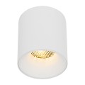 BLAZE WHITE CCT 12W