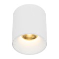 BLAZE WHITE CCT 12W