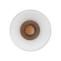 BLAZE WHITE CCT 12W
