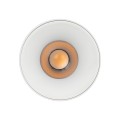 BLAZE WHITE CCT 12W