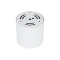 BLAZE WHITE 30W