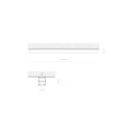 c81166a8964a6dcc8ef989024e318894