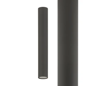 Klosz/oprawa Cameleon Cameleon Fourty jedwabisty grafit 11223 - Nowodvorski