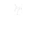 a640b72fe94cba87a990dbc2c344b529