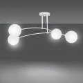 238dc9ce18e53374feaee2ee67b32c6c