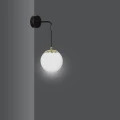 1464d4a1f6ad7ea62270276661356111