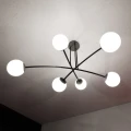 e03202e2b56c6d7b4f1a1b720b6ea7fd