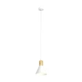 1d32b44083c84a32a1389040dd237fbe