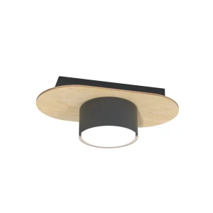 Lampa sufitowa Diaz czarny 1x GX53 - Emibig