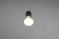 1cf7ab5439fe7134db1532df64125902