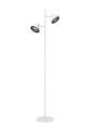 ca9b070920a4eb94da6369c5a84d0f8c