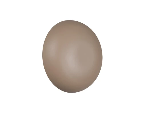 586c937511c8c97b06eff0e9fecf7496