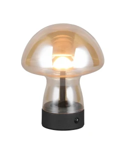 Lampa stołowa Dooley inny LED zintegrowany R54981113 - RL