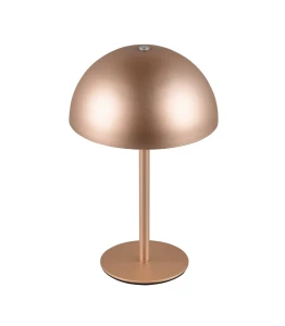 Lampa stołowa Munoz brązowy i odcienie brązu LED zintegrowany R54891165 - RL