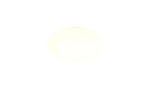 Lampa sufitowa Viora biały LED zintegrowany R63501101 - RL