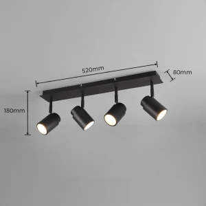 Lampa sufitowa Brisa Dl432880400 czarny mat GU10 - Trio