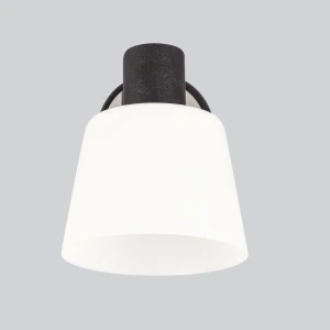 Kinkiet Biloba czarny 1xE14 91-49063 - Candellux Lighting