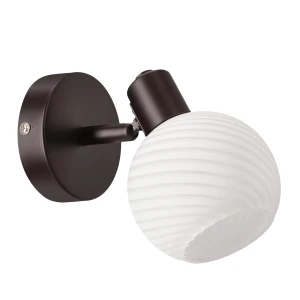 Kinkiet Grano brązowy 1xE14 91-43160 - Candellux Lighting