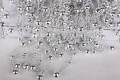 498b2cf3fc1a0ee213752381aefc2412