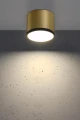 de3faf01050378221f69a835a0cff4ec