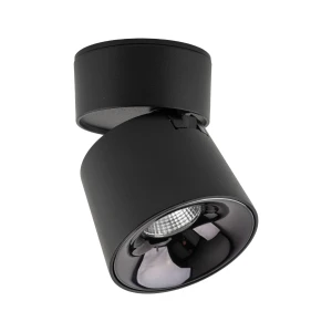 Lampa sufitowa Kyoto Black Cct 1x - TK Lighting