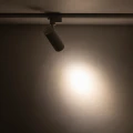 e695f1b88e724588bce76cb0f17a87db