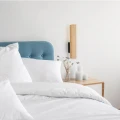 6f39efbfad820756637330f29d6c9c33