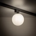 daebd0bfd24eb5c0507350a5a8f83fe4