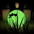9c8f14721ee88d7e898aa3eb2203ce08