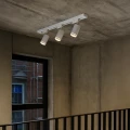 59853fc6831250ca45e6211adcfcd150