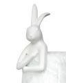904f87521d2abb03023948ead52685fd