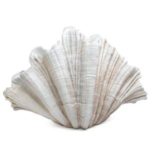 Dekoracja KARE wazon dekoracyjny CONCHA 57 cm – Kare Design