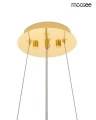 69012069f3215981cf482a68cb499677